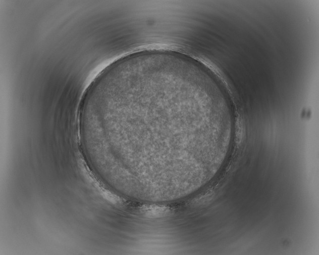 X0000110760886200907131207