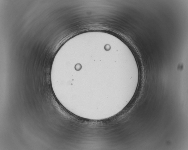 X0000110760889200907131207