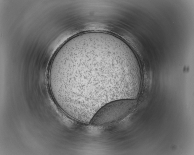 X0000110760893200907131207