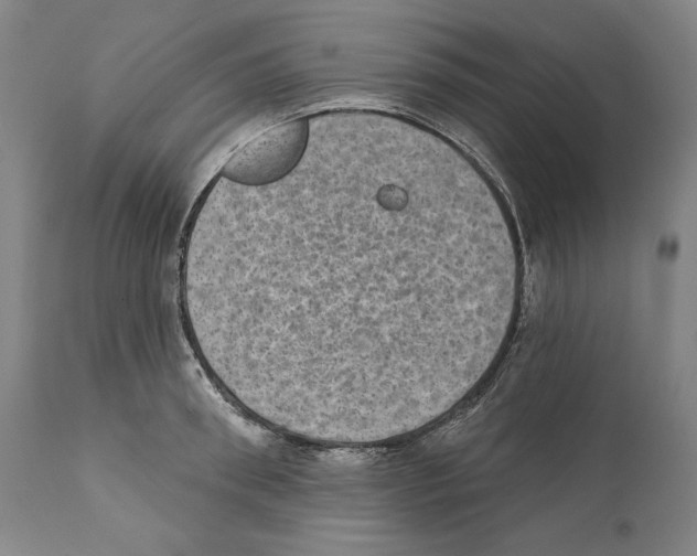 X0000110760898200907131207