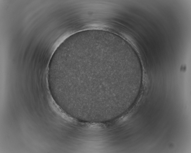 X0000110760899200907131207