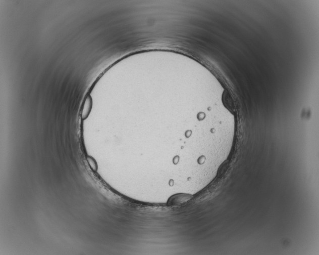 X0000110760900200907131207