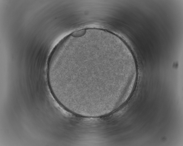 X0000110760902200907131207