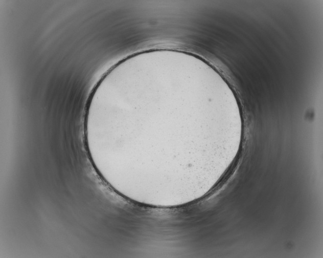 X0000110760904200907131207