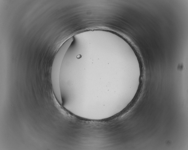 X0000110760905200907131207