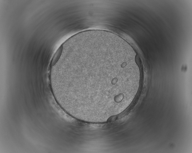 X0000110760908200907131207