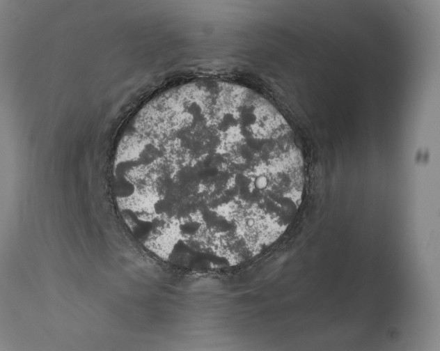 X0000110760913200907131206