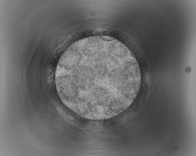 X0000110760914200907131206