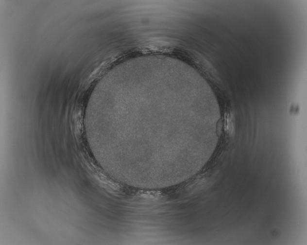 X0000110760915200907131206