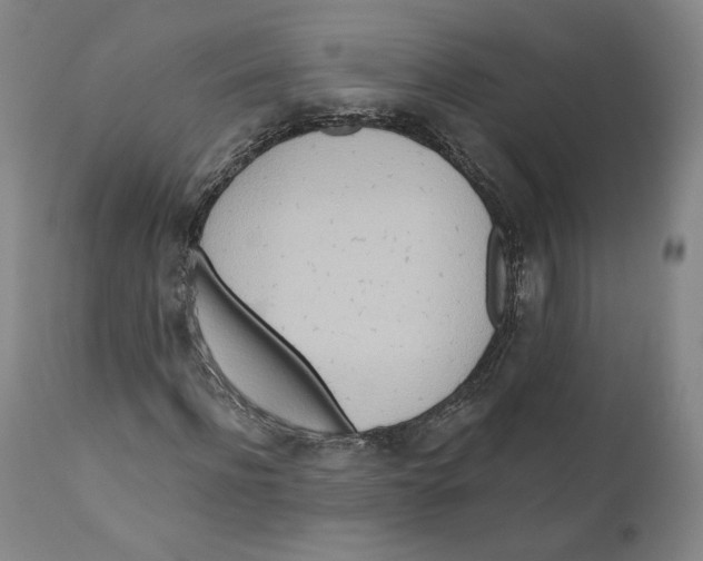 X0000110760916200907131206