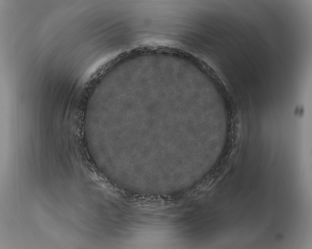 X0000110760919200907131206