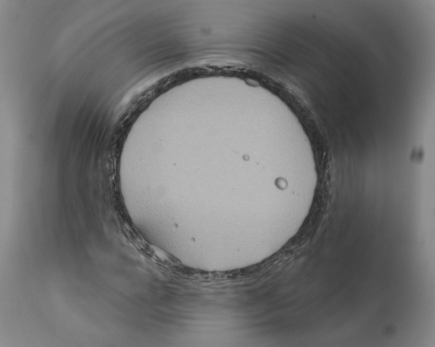 X0000110760920200907131206