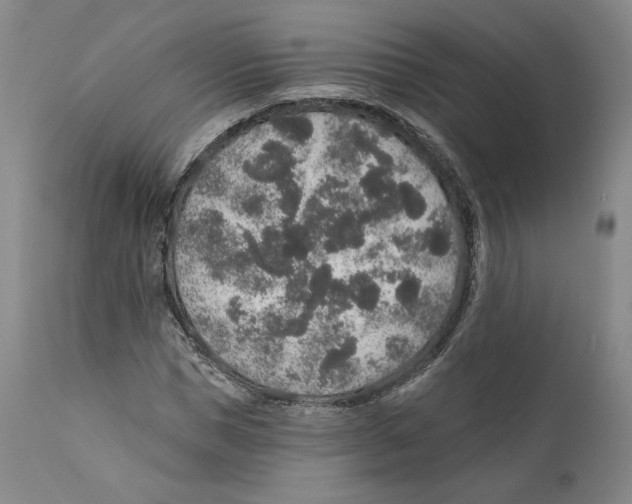 X0000110760921200907131206