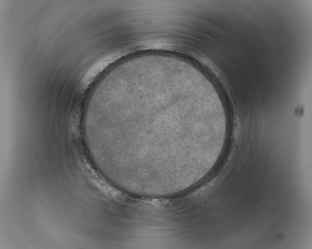 X0000110760922200907131206