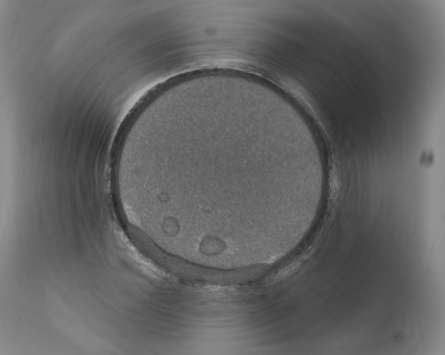 X0000110760924200907131206