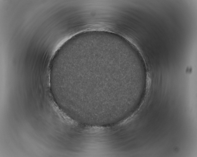 X0000110760925200907131206