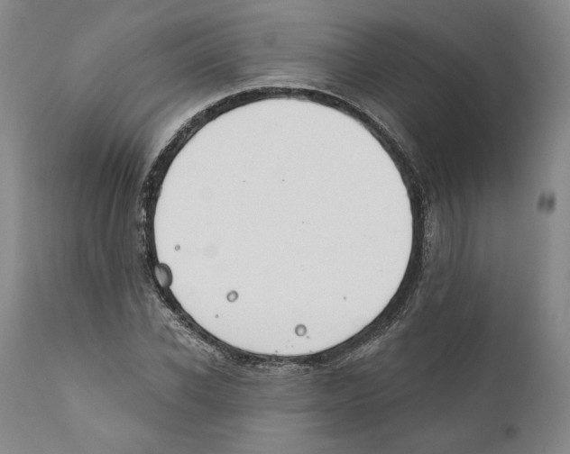 X0000110760926200907131206