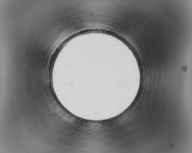 X0000110760927200907131206