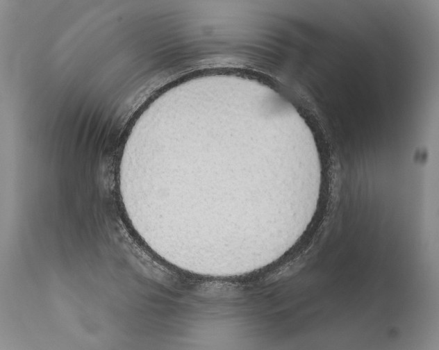 X0000110760929200907131206