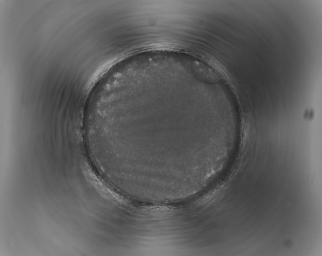 X0000110760930200907131206