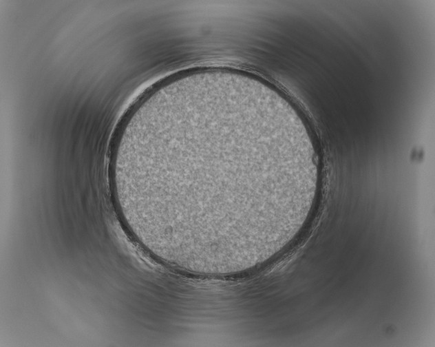 X0000110760932200907131206