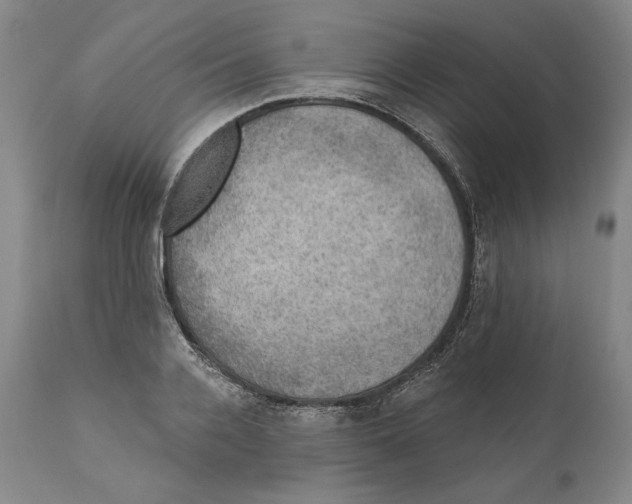 X0000110760936200907131206