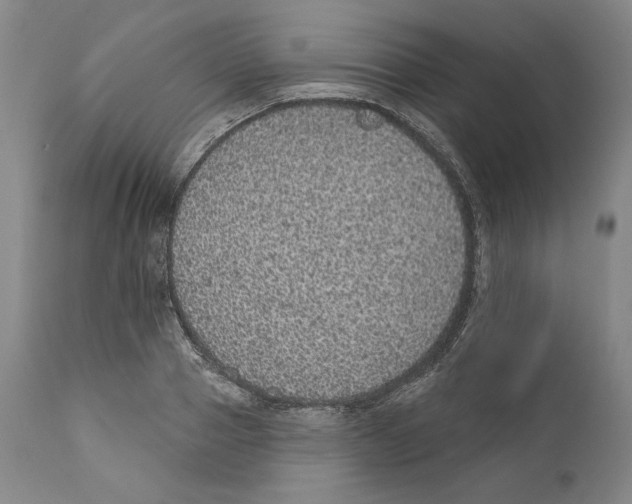 X0000110760937200907131206