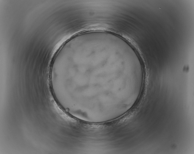 X0000110760941200907131207