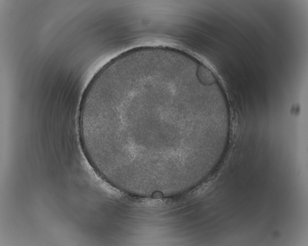 X0000110760943200907131207