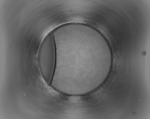 X0000110760944200907131207