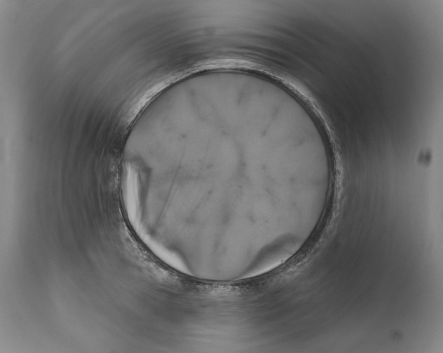 X0000110760945200907131207