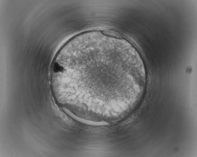 X0000110760948200907131207