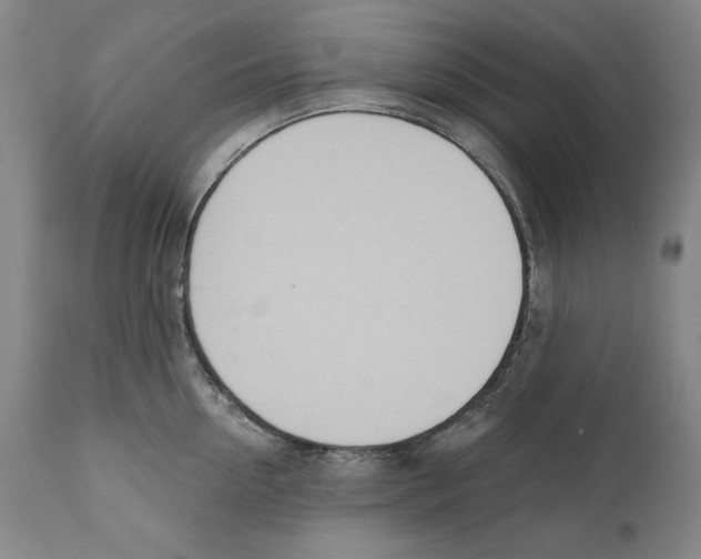 X0000110760954200907131207