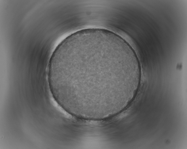 X0000110760958200907131207