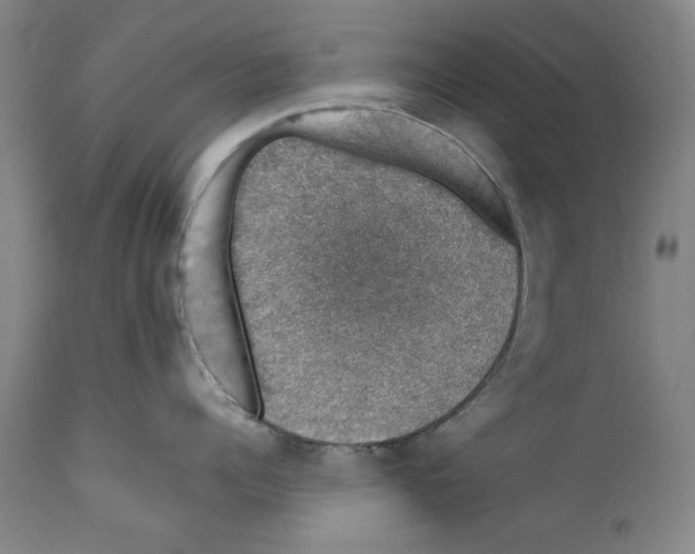 X0000110760960200907131207