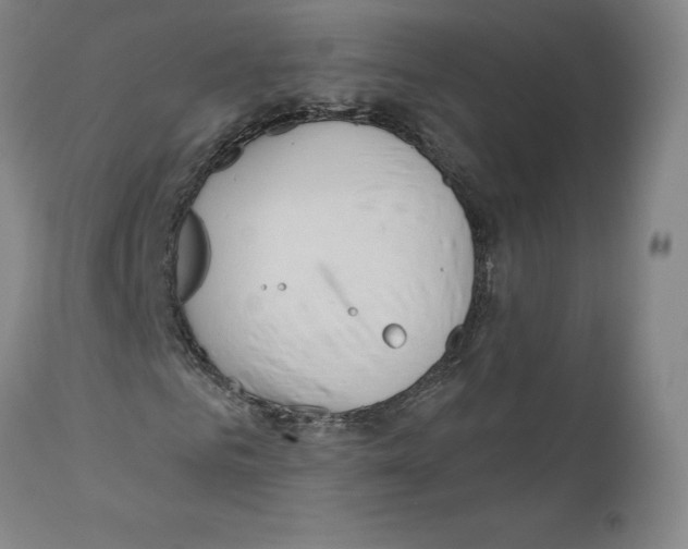 X0000110760961200907131206