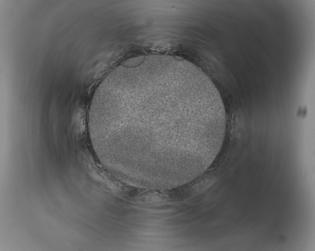 X0000110760962200907131206