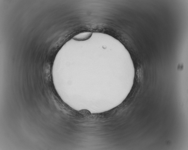 X0000110760963200907131206