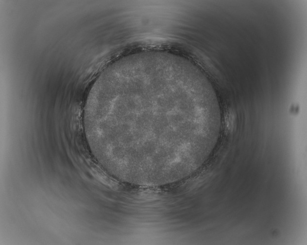 X0000110760964200907131206