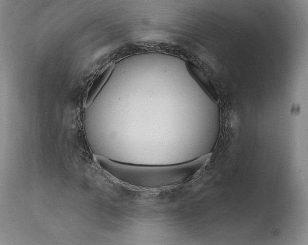 X0000110760965200907131206