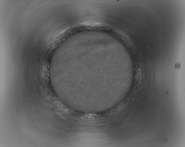 X0000110760966200907131206