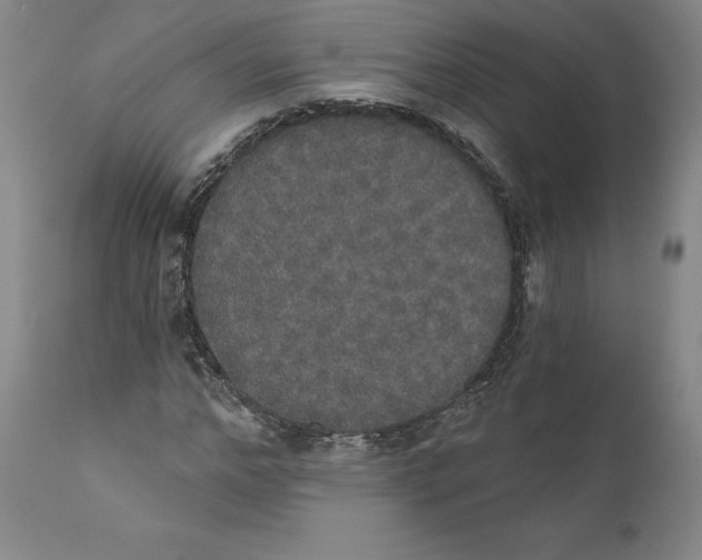 X0000110760968200907131206