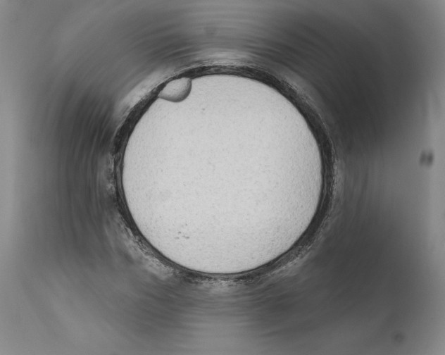 X0000110760970200907131206