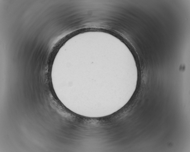 X0000110760971200907131206