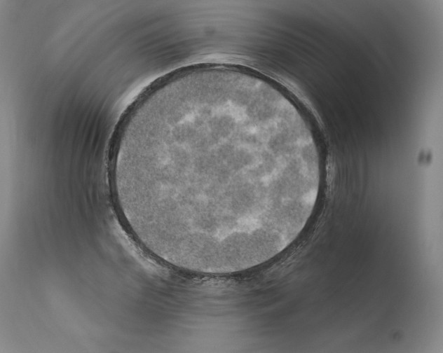 X0000110760972200907131206