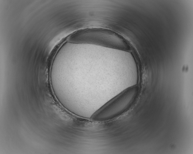 X0000110760973200907131206