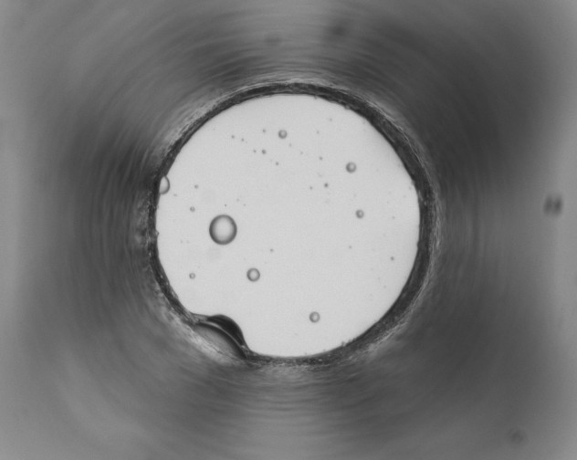 X0000110760977200907131206