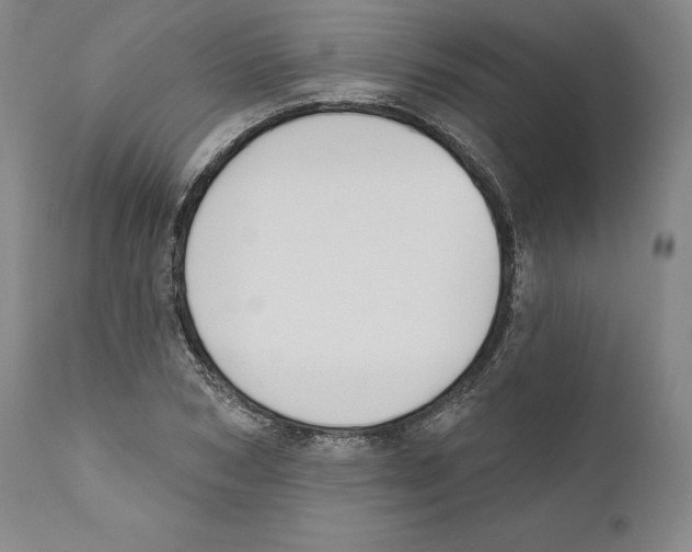 X0000110760978200907131206