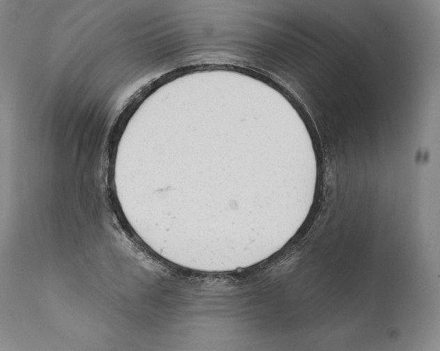 X0000110760979200907131206