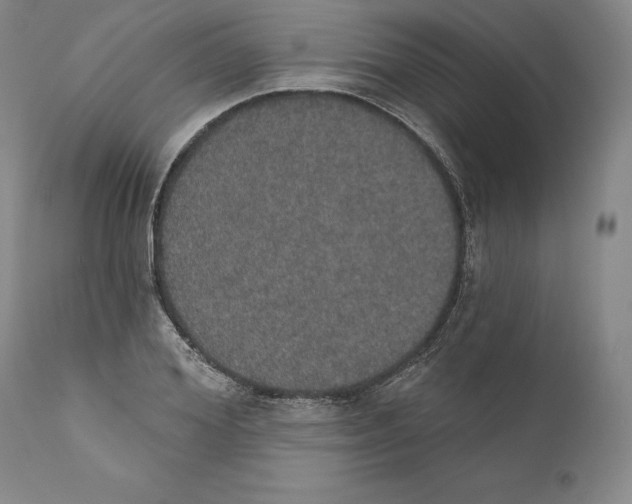 X0000110760980200907131206